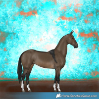 Horse Color:Gray Brown Dun Tobiano Rabicano 