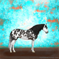 Horse Color:Gray Brown Splash Frame Appaloosa Rabicano