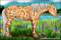 Horse Color:Silver Classic Champagne Dun Splash Frame 