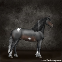 Horse Color:Brown Roan Tobiano Frame Varnish Rabicano 