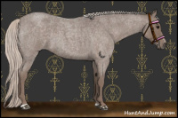Horse Color:Silver Blue Roan Sabino 