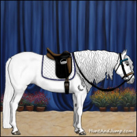Horse Color:Gray Grullo 