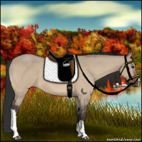 Horse Color:Brown Dun 