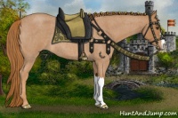 Horse Color:Red Roan 