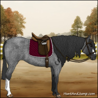 Horse Color:Blue Roan 