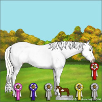 Horse Color:Silver Classic Champagne Dun Splash Frame Appaloosa 