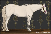 Horse Color:Smoky Creme 