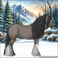 Horse Color:Grullo 