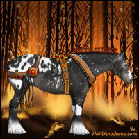 Horse Color:Gray Black Appaloosa