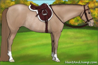 Horse Color:Black Pearl Rabicano