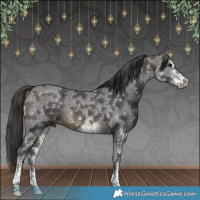 Horse Color:White Spotted Buckskin Rabicano 