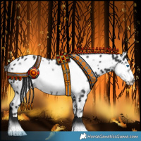 Horse Color:Black Frame Appaloosa 