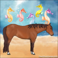 Horse Color:Chocolate Bay 