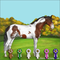 Horse Color:Brown Sabino Tobiano 