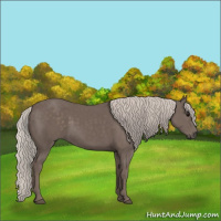 Horse Color:Silver Black 