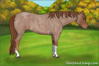 Horse Color:Red Roan Tobiano 