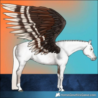 Horse Color:Gray Silver Black Pearl Tobiano 