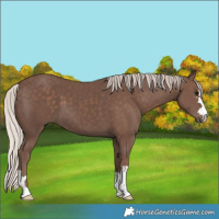 Horse Color:Silver Black 