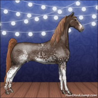 Horse Color:White Spotted Liver Chestnut 