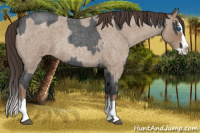 Horse Color:Blue Roan Sabino Splash  and Classic Champagne Roan Sabino Splash 