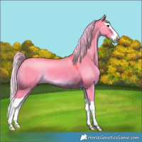 Horse Color:Platinum Watercolor Liver Red Dun Splash 