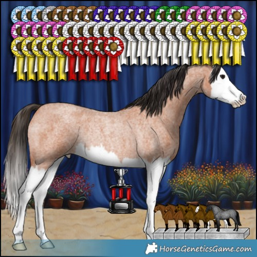 Horse Color:Bay Roan Splash Rabicano 