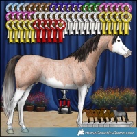 Horse Color:Bay Roan Splash Rabicano 