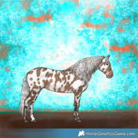 Horse Color:Silver Brown Dun Near Leopard 