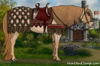 Horse Color:Red Roan 