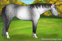 Horse Color:Gray Black 