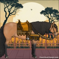 Horse Color:Bay Roan 