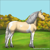 Horse Color:Silver Buckskin Dun Tobiano 