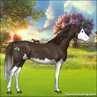 Horse Color:Liver Chestnut Splash 