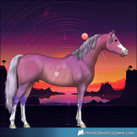 Horse Color:Watercolor Silver Bay Rabicano 