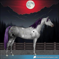 Horse Color:ERROR: UNKNOWN ANOMALY