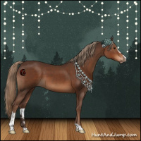 Horse Color:Liver Chestnut Sabino 