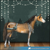 Horse Color:White Spotted Buckskin Rabicano 