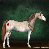 Horse Color:White Spotted Red Dun 