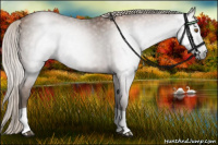 Horse Color:Gray Liver Chestnut Pearl Tobiano 