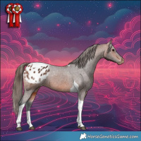 Horse Color:Bay Tobiano Appaloosa 