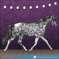 Horse Color:Smoky Blue Roan Tobiano Snowflake Varnish