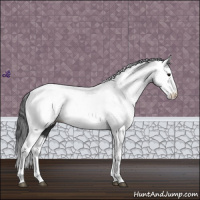 Horse Color:Black Tobiano Appaloosa