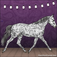 Horse Color:Blue Roan Snowflake Varnish