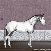 Horse Color:Blue Roan Splash Near Fewspot 