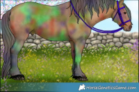 Horse Color:Nacre Bay 