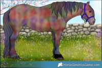 Horse Color:Nacre Bay 