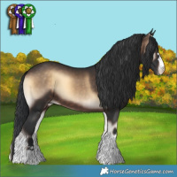 Horse Color:Brown Onyx