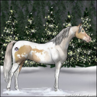 Horse Color:Gray White Spotted Silver Sable Champagne Dun Tobiano 