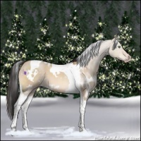 Horse Color:White Spotted Sable Champagne Dun Tobiano 