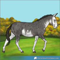 Horse Color:White Spotted Smoky Black Ice Mushroom 